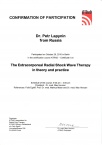 «The Extracorporeal Radial Shock Wave Therapy in theory and practice»